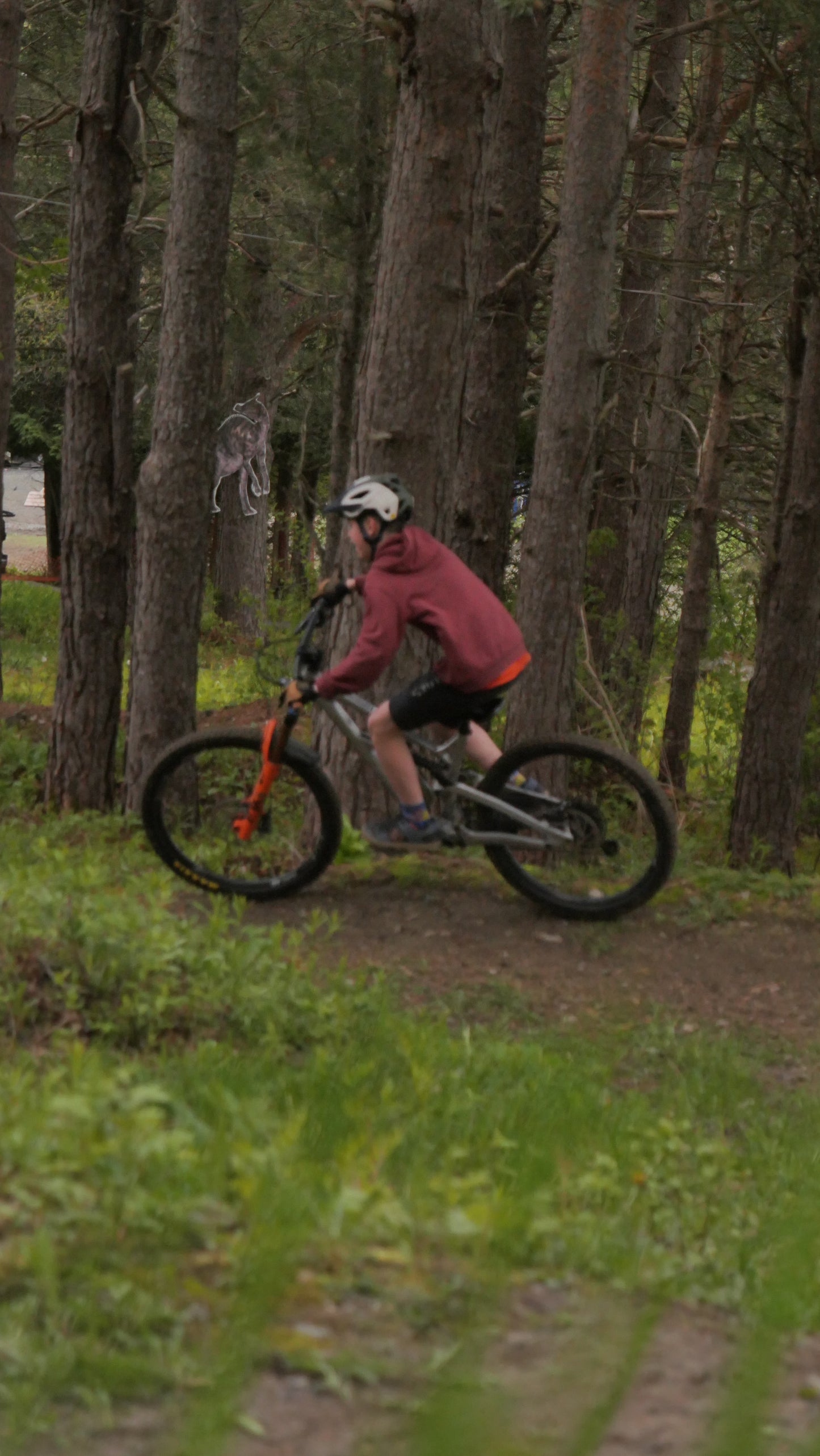 Cours MTB Adulte débutant (dimanche matin)