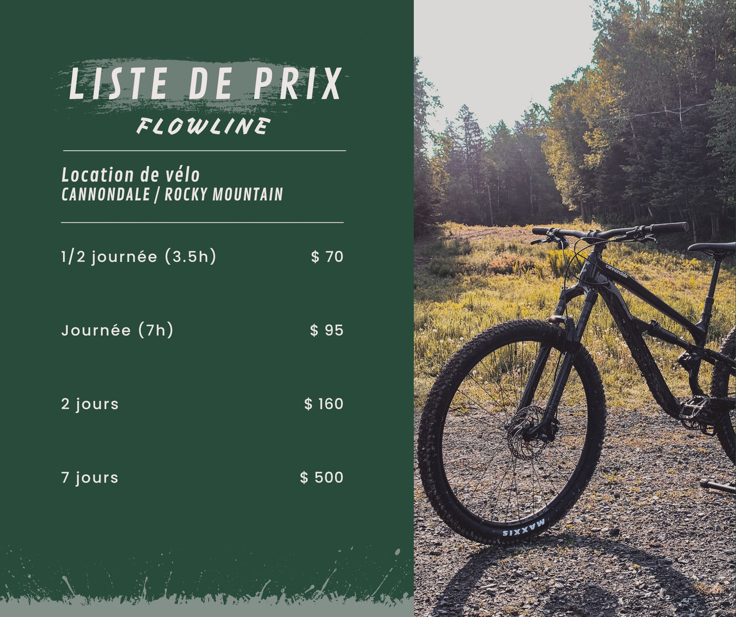 Location vélo électrique et double suspension