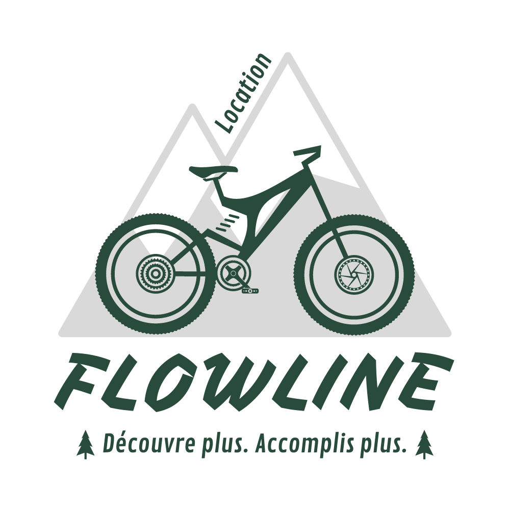 Location vélo électrique et double suspension
