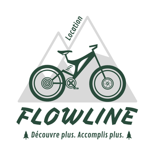 Location vélo électrique et double suspension